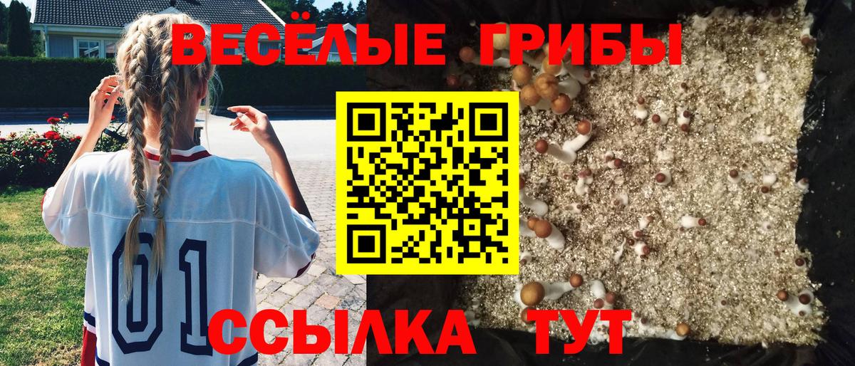 Горно-Алтайск  Псилоцибиновые грибы Magic Shrooms  Вход с VPN  Псилоцибиновые грибы мицелий 